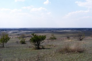 ������� ����������� �������