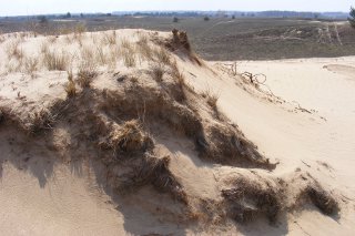 ������� ����������� �������