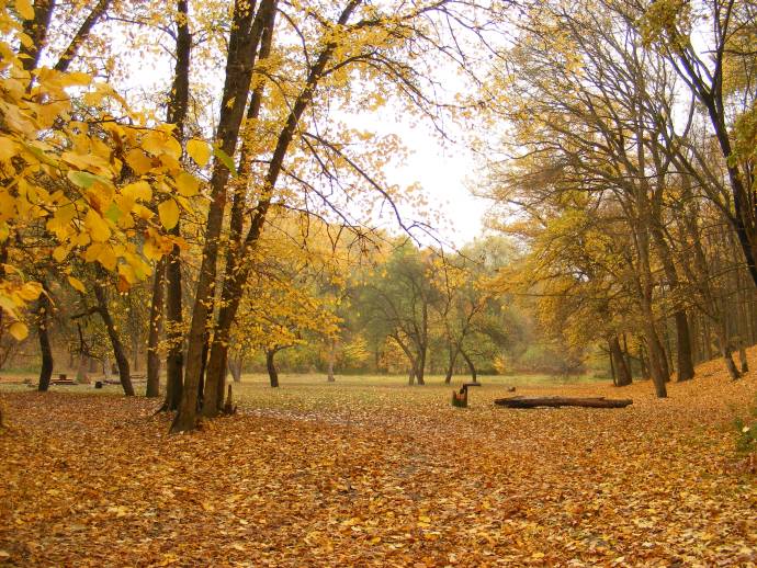 ������� �����