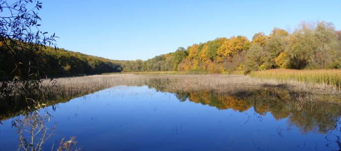 ����� �����