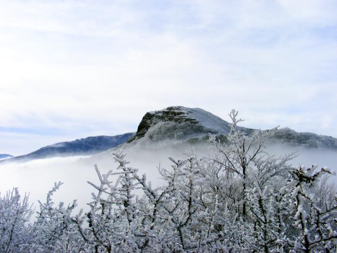 ����� ����