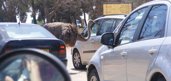 ������ � ����� ������