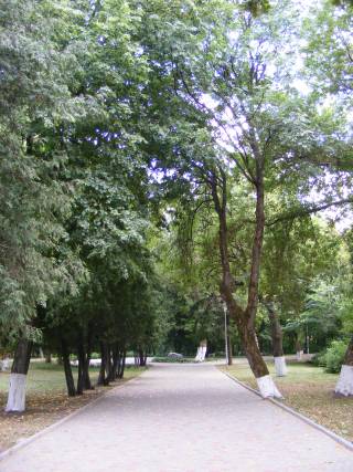 ����� ����� �. ���������