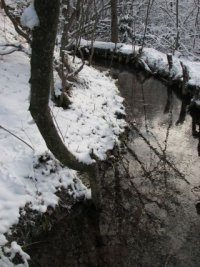 ������ ����