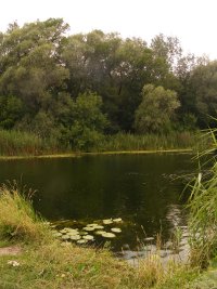 ��������� �����