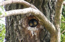 �������