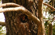 �������