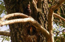 �������