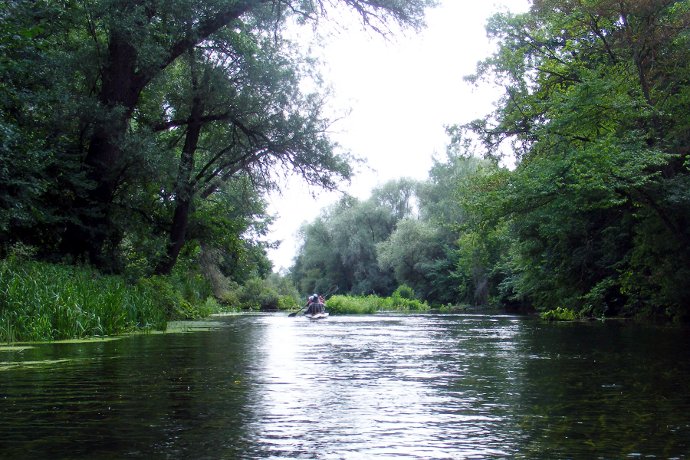 ������ ����� ���������� �����