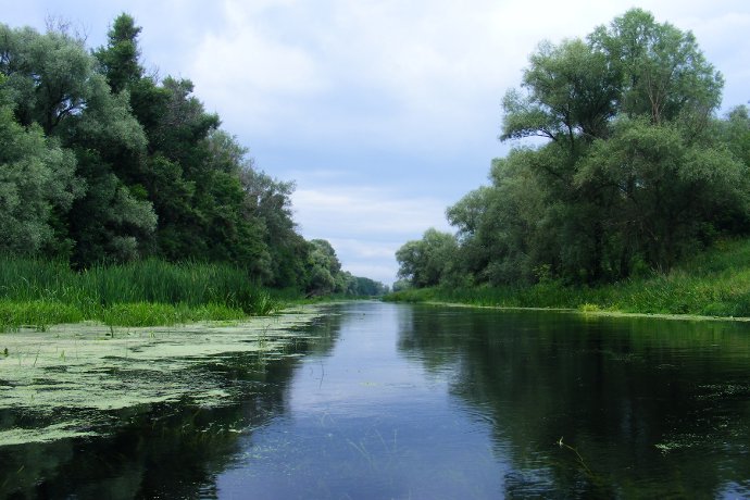 ������ ����� ���������� �����