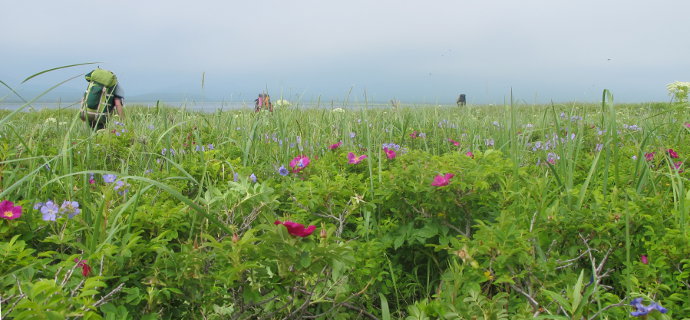 ����� �� ����������� ����