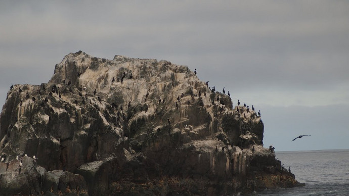 ������ �����