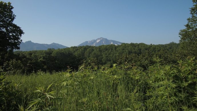 ����� �� ����������� ������