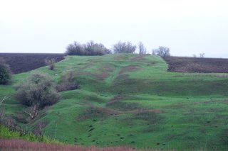 ��� ���������� �������������� �����