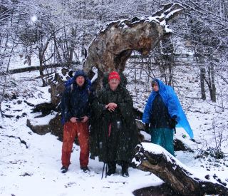 �������� ���