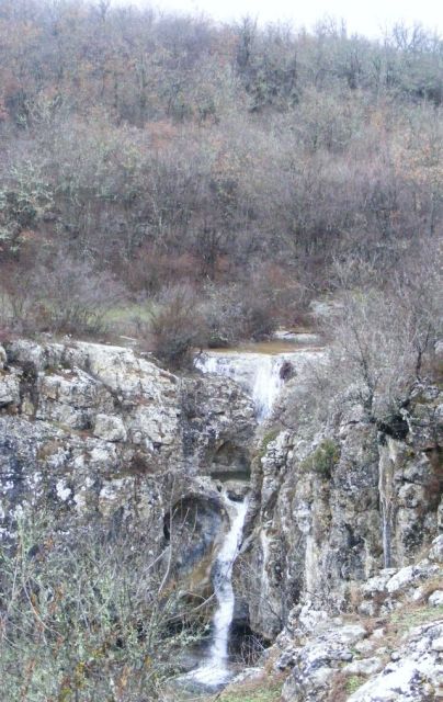 ������� �������