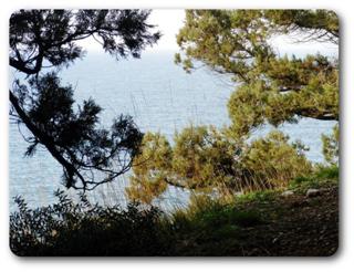 �����. ����