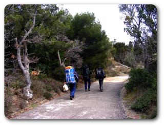 �����. ����� �����