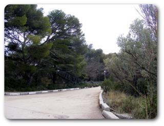 �����. ����� �����