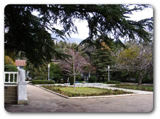 �����. ����� �����