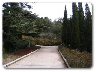 �����. ����� �����