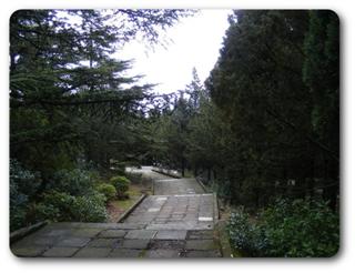 �����. ����� �����