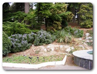 �����. ����� �����