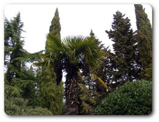 �����. ����� �����