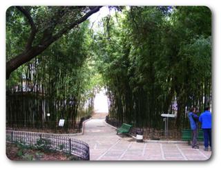 ����� � ��������� ����