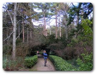 ����� � ��������� ����