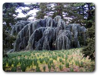 ����� � ��������� ����