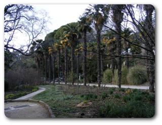 ����� � ��������� ����