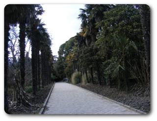 ����� � ��������� ����