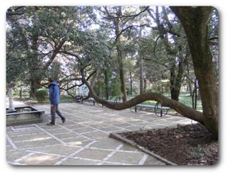 ����� � ��������� ����