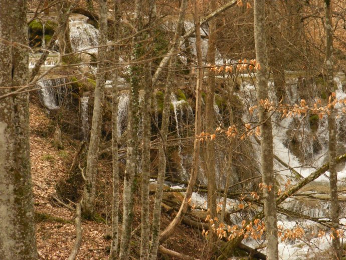 ������ ����� ����������� �����