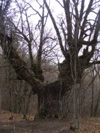 Три дня в марте 2009 Три дня в марте 2009