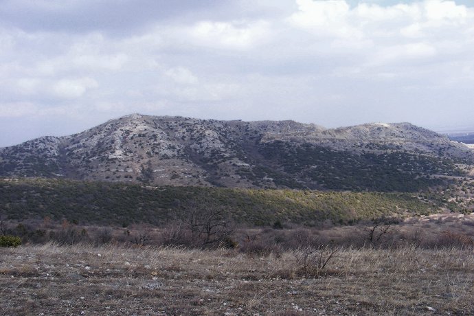 ����� �������