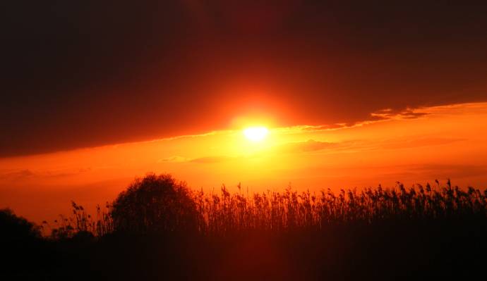 ����� ��� ������