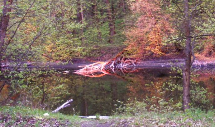 ����� � ������