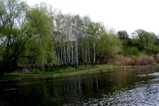 ��������� ����