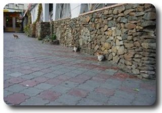 ����/����� � ������