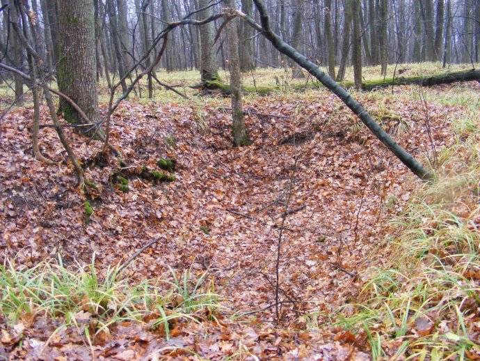 ������ �������