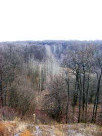 Однодневная прогулка Однодневная прогулка