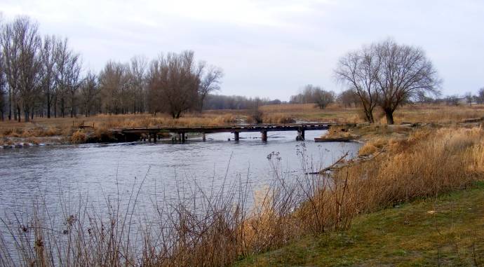 ���� ����� ���