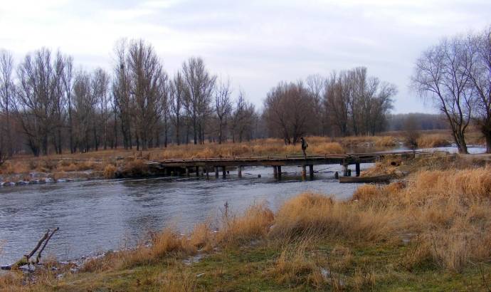 ���� ����� ���