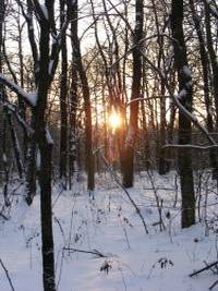 Однодневная прогулка Однодневная прогулка