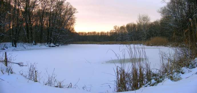 ����� ��������