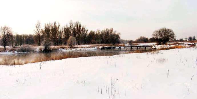 ���. ����