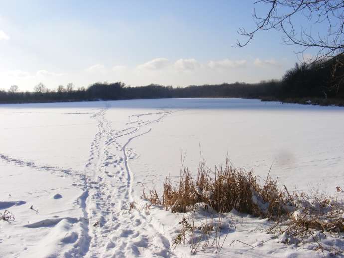 ����� �����