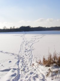 Однодневная прогулка Однодневная прогулка